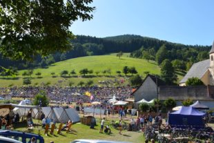 2019-8-12-BI-PB-hps-Highland Games-DSC_8899 2