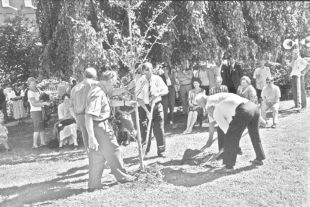 2020-5-13-32-NO-Niedernai-Feier-Baumpflanzung-Mai-2000-Nr14