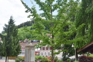 2020-5-13-NO-hv-20 Jahre Partnerschaft Niedernai-Baumpflanz-DSC_0646