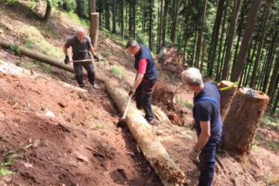 2020-5-13-ZE-UH-ibr-WuF Wanderwege 1