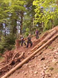 Wanderwege durch Frühjahrsstürme stark in Mitleidenschaft gezogen