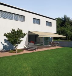 Ein frischer Blickfang auf der Terrasse