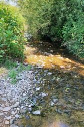 Ab sofort Wasserentnahme aus Bächen und Flüssen verboten