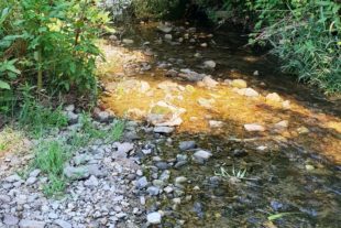 2020-5-22-OG-Landratsamt-Verbot Wasserentnahme Fluesse-Durbach unterhalb Ebersweier