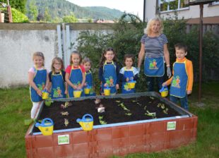 Gemüsebeete für Kindergarten-Kids