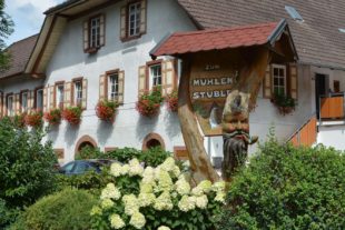 2020-5-29-NO-hps-Mühelnstüble-DSC_9700