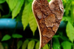 2020-5-6-BI-Helmut Krannich-Meisen-Bild (2)