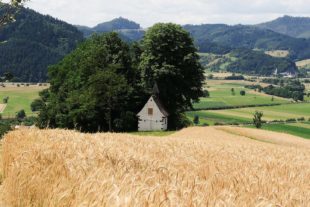 2020-5-8-ZE-UE-Franz Huber-Friedenskapelle-Bb-DSCN1461 (1)