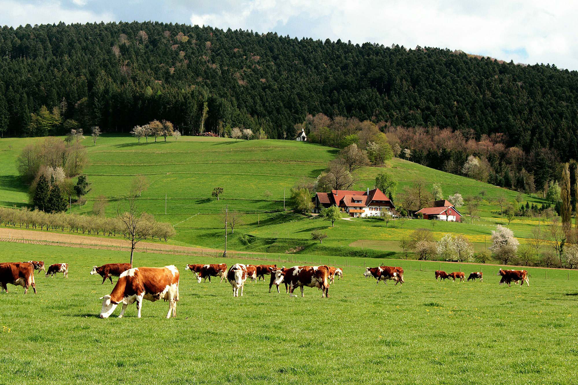 2020-5-8-ZE-UE-Franz Huber-Friedenskapelle-u-Ladhof Friedenskapelle 2-(2)