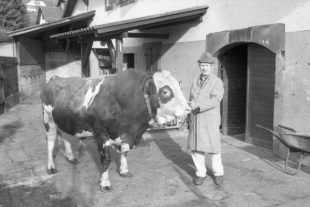 Gemeinde Oberharmersbach verkauft das Hofgut Kornmayer