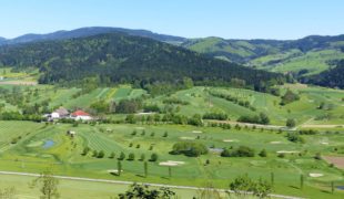 Golfen – die willkommene Abwechslung!