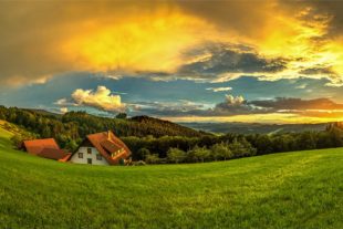 2020-6-19-OH-Robert Schwendemann- Abendrot Langenberg0057 Abendgold