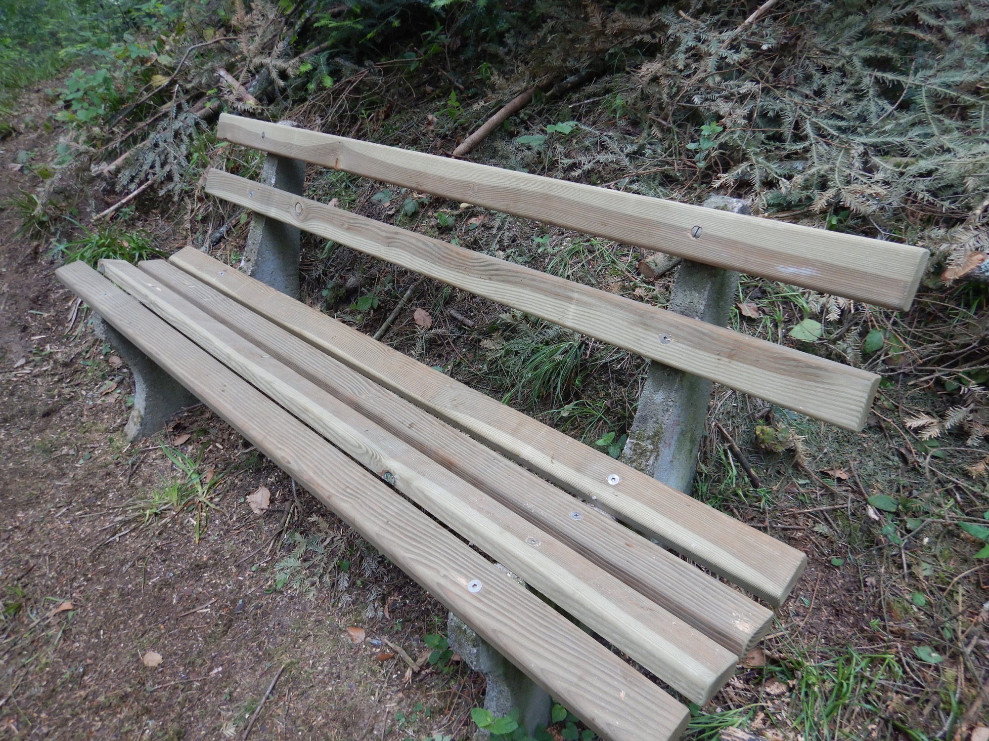 2020-6-2-BI-Klaus Pfaff-SWV-Instandsetzungstour-DSCN2831