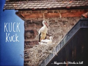 Heimat auf Zeit beim Schwarzwald-Dorfurlaub an authentischen Orten