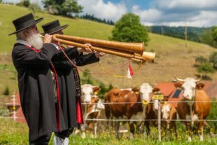 2020-6-3-NO-Touristen-Info-Absage Brennhislitag-RegioBK_180815_0213