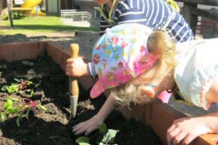 2020-7-10-OH-Kindergarten Sonnenblume-IMG_7423