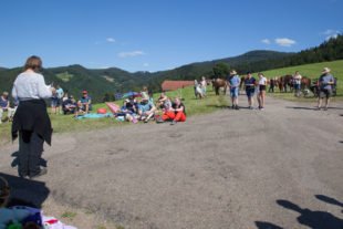 2020-7-13-OH-kal-Tiersegnung-zzvkIMG_3467b