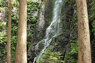 2020-7-24-ZE-UH-Reinhard Heizmann- WuF Klösterle Schleife IMG_20200719_154217