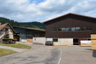 2020-7-29-NO-hps-Gemeinderat Sägewerk Fehrenbacher-DSC_5978 2