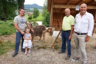 Obama und Angie: Zwei neue Stadtarbeiter, die kostenlos das Herrenholz sauber halten