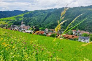 2020-7-3-OH-Tourist-Info-Heimatsommer-IMG-20200629-WA0000