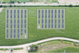 2020-7-31-BI-Bürgerenergiegenossenschaft-2020_07_28_Vorstellung PV Freifläche Infoveranstaltung_S10