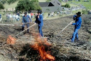 2020-7-31-UH-hpw-20 Jahre Partnerschaft Tuggen und Unterharmersbach-z_hei_r2