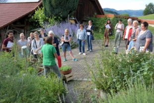 2020-7-31-ZE-privat-DeinDorfleben_Dorferlebnis_Armbrusters_Hof