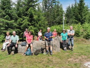 Durch wilde Natur zum Glaswaldsee
