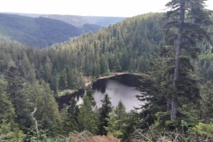 2020-7-6-ZE-UH-Verein-Wu-F-Glaswaldsee-IMG_20200621_122605