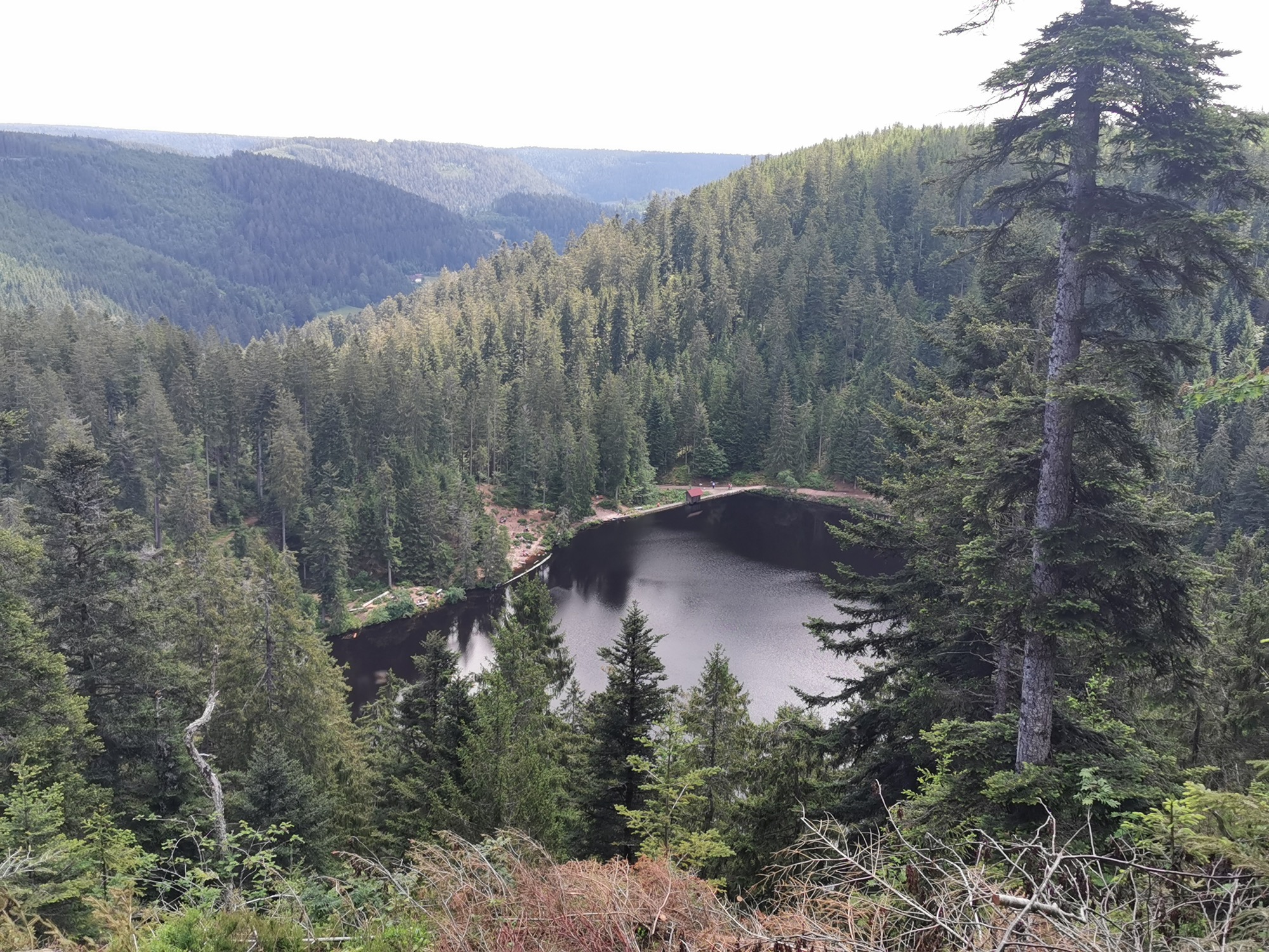 2020-7-6-ZE-UH-Verein-Wu-F-Glaswaldsee-IMG_20200621_122605