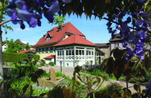 Feste feiern zu Hause oder im Partyhaus