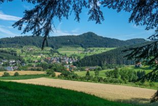 2020-7-8-ZE-UH-rs-Unterharmersbach-WuF-DSC02493