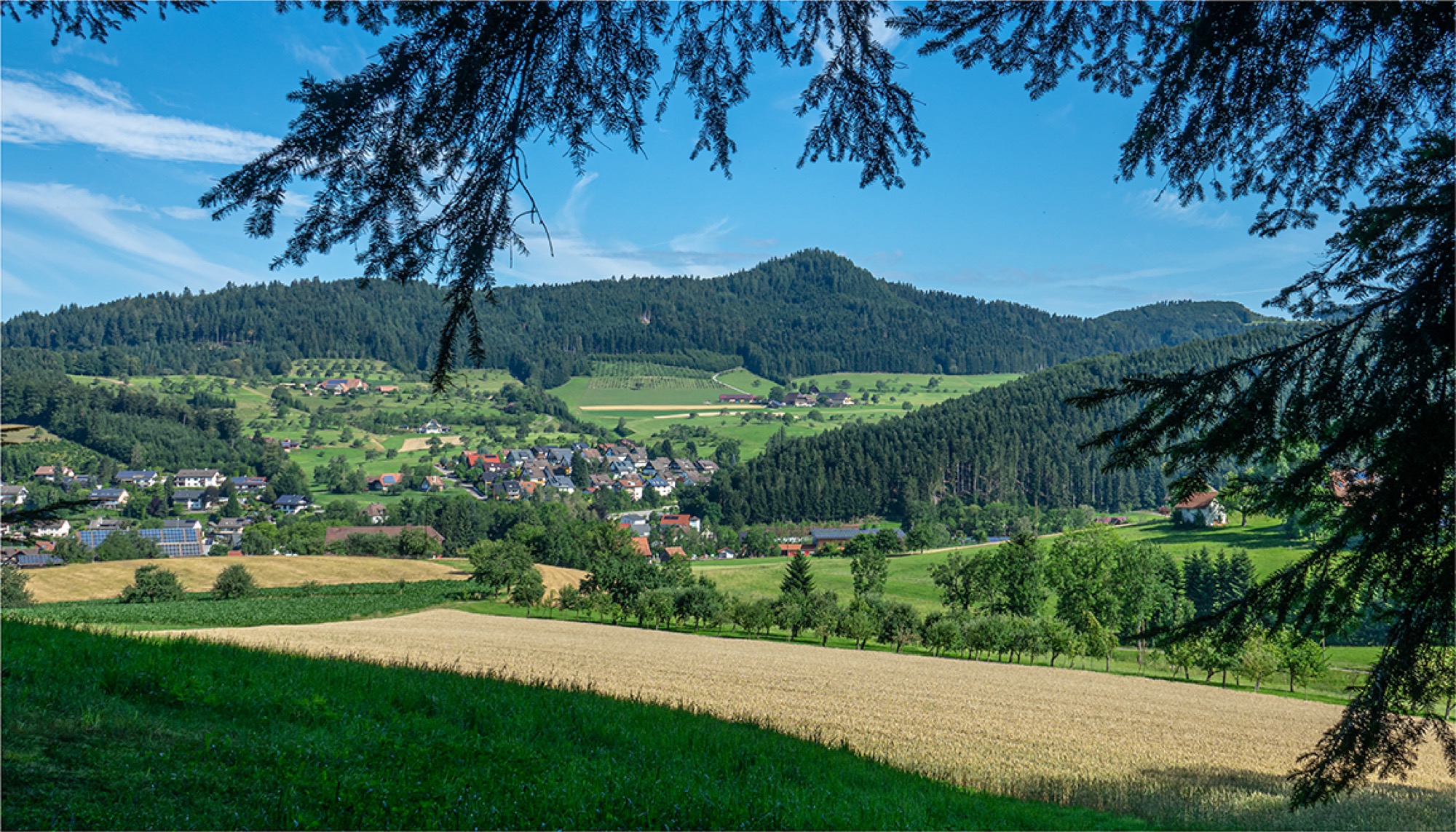 2020-7-8-ZE-UH-rs-Unterharmersbach-WuF-DSC02493