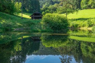 2020-7-8-ZE-UH-rs-Unterharmersbach-WuF-DSC02496