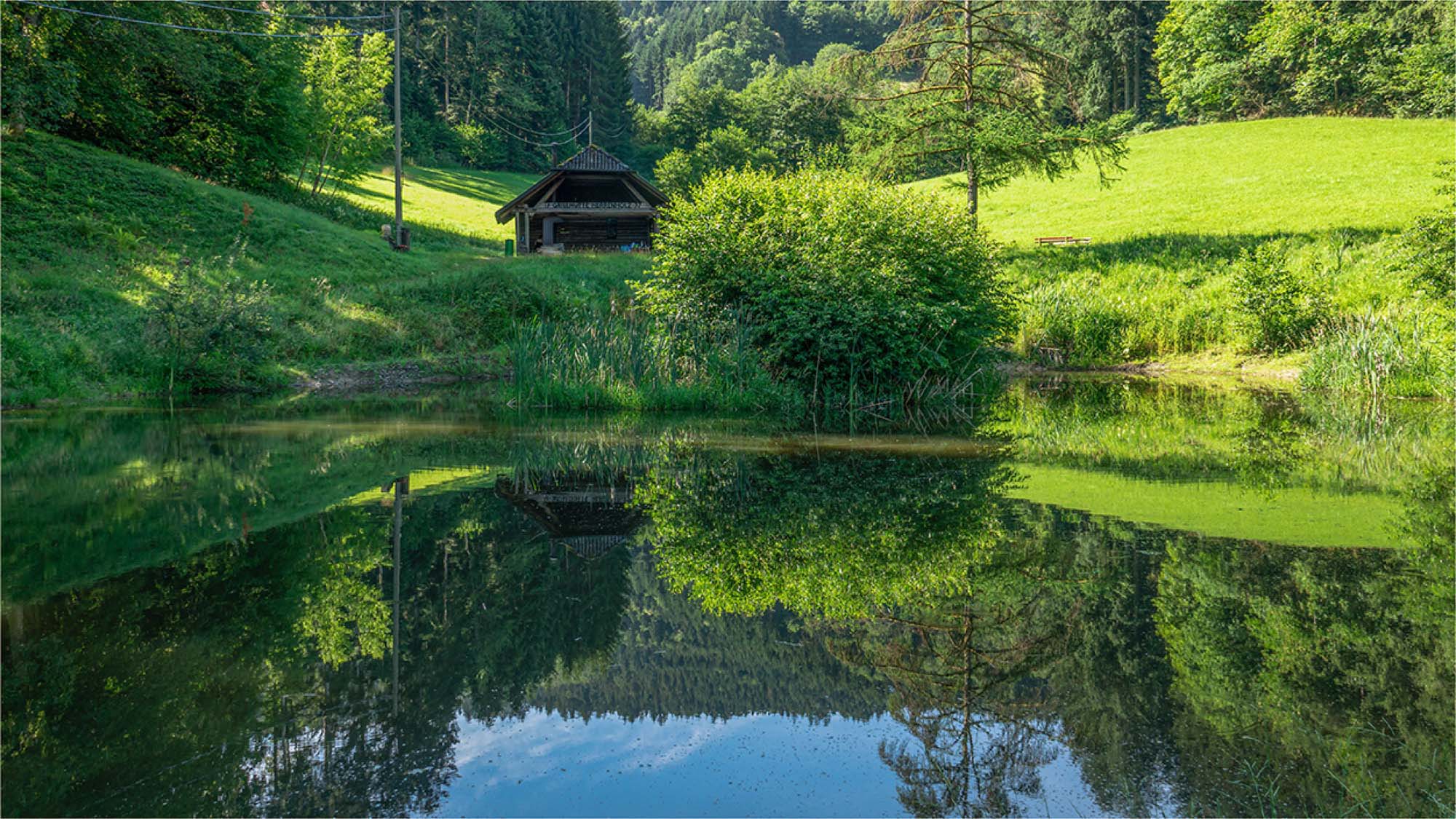 2020-7-8-ZE-UH-rs-Unterharmersbach-WuF-DSC02496