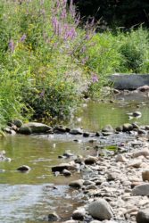 Verbot der Wasserentnahme aus Bächen und Flüssen besteht weiter
