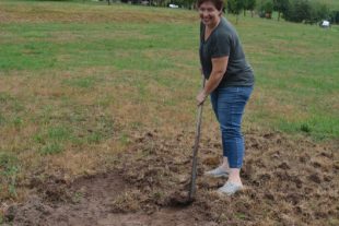 2020-8-14-NO-hps-Landwirtschaft Wiesenbefall Engerling-DSC_6276 2