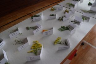 2020-8-14-NO-hv-Kräuterweihe-DSC_1165