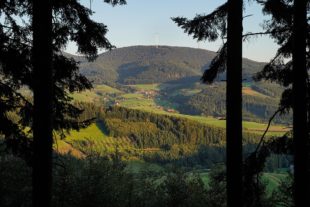 Baden-Württembergische Meisterschaften  im Trailrun finden am 3. Oktober in Zell statt