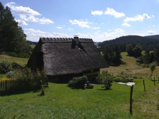 DJK Indoor-Cycling-Abteilung erkundete mit dem MTB den Fohrenbühl