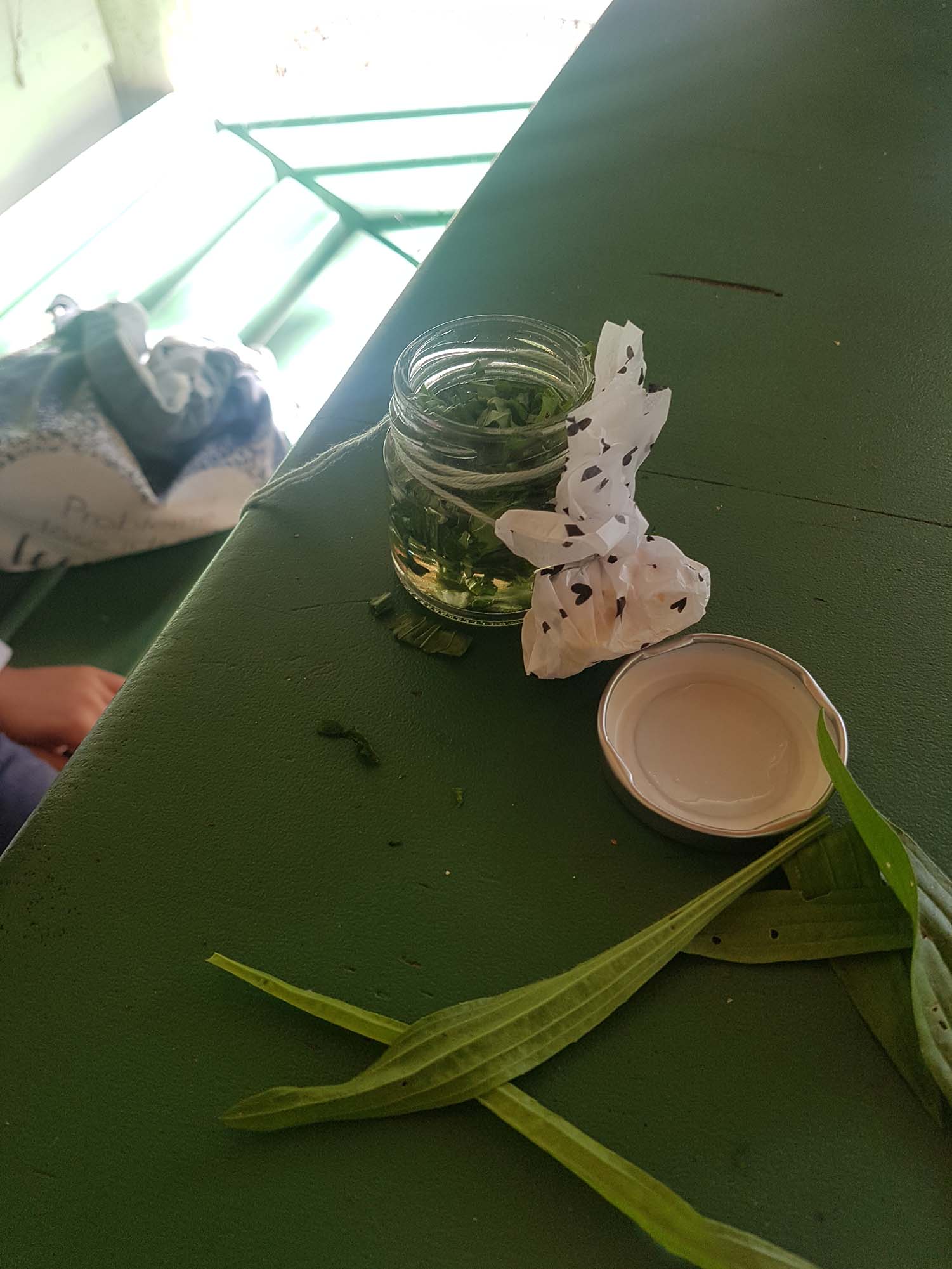 2020-8-21-ZE-UH-Christina Maier-Zelli-Kräuterworkshop-20200818_113810