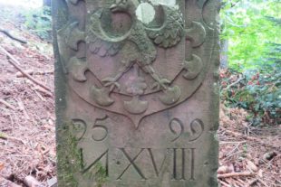 2020-8-3-BI-kp-Schwarzwaldverein-IMG_3124