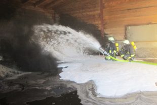 2020-8-7-GB-BI-FFW-Gebäudebrand Geflügelhof Zapf-IMG_3319