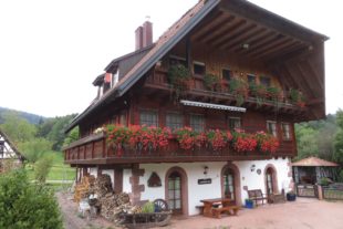 2020-9-18-BI-kp-SWV-Wanderung-IIMG_4144