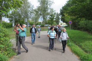 2020-9-18-BI-kp-SWV-Wanderung-IMG_4117