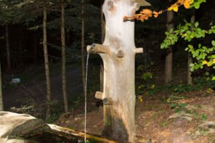 2020-9-2-OH-kal-Wasser-zzvk MG8A0434