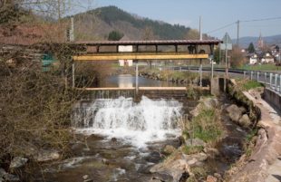 Streit um lebenswichtiges Gut