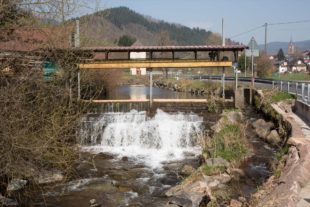 2020-9-2-OH-kal-Wasser-zzvkMG8A3944b