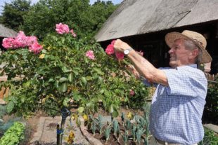 2020-9-2-ZE-UH-hpw- Erwin BurgerFü-Hof Burger1 (2)